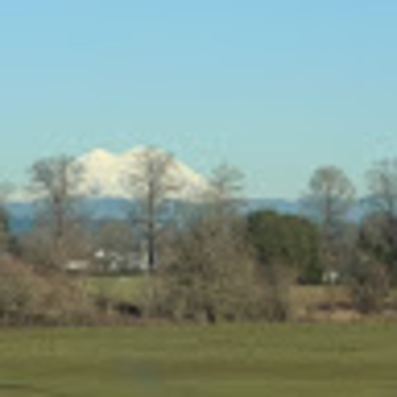 Meet your Posher, Leanne - Picture 1 of 1